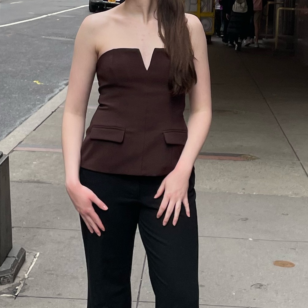 Zara Chocolate Brown Strapless Top